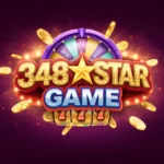 348Star Game