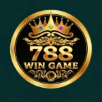 788Win -Game